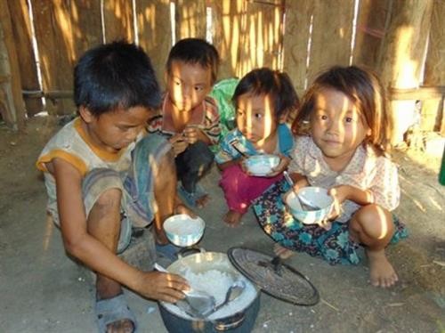 “零饥饿” 国家行动计划获批准 努力提高越南身材、体力和智慧