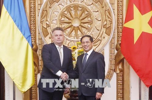 越南与乌克兰外交部举行副部长级政治磋商