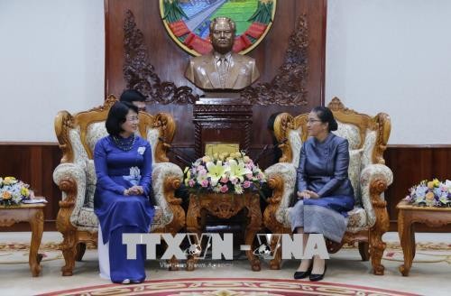 越南国家副主席邓氏玉盛会见老挝国会主席巴妮·雅陶都