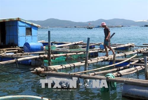 Quy định quản lý nuôi trồng thủy sản bằng lồng, bè vùng ven biển Phú Yên