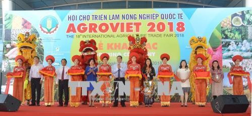 第18届越南国际农业展在岘港拉开序幕