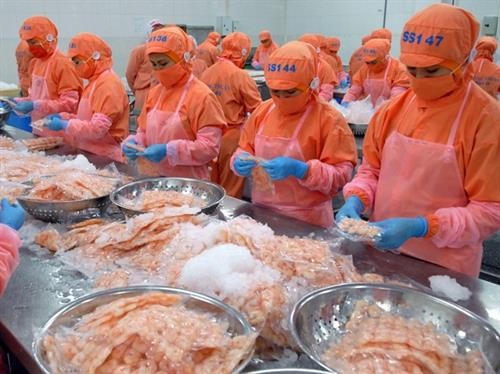 欧盟市仍保持越南虾类产品最大进口市场地位