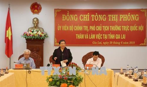 越南国会常务副主席丛氏放： 提高儿童生活质量