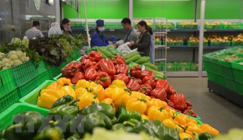 今年前5个月越南蔬果出口额达16.2亿美元