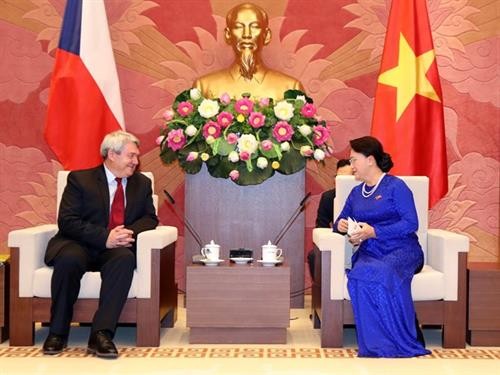 越南国会主席阮氏金银会见捷克众议院副议长沃伊捷赫•菲利普