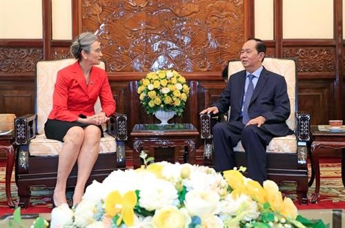 越南国家主席陈大光会见即将离任的荷兰驻越大使尼恩可