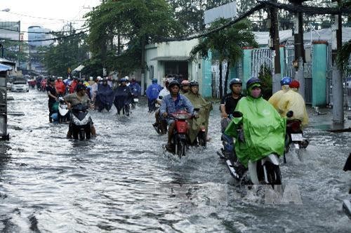 Quy hoạch chống ngập cho Thành phố Hồ Chí Minh (Bài 2)
