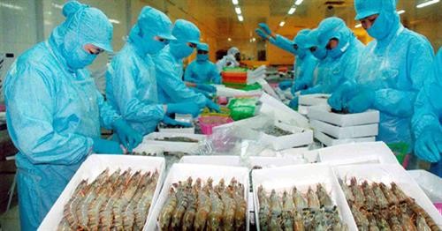 从第三季度末越南虾类价格有望反弹