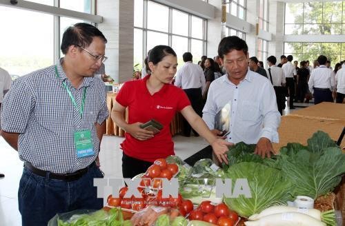 Xúc tiến xuất nhập khẩu nông sản giữa hai tỉnh Lào Cai ở Việt Nam và Vân Nam ở Trung Quốc