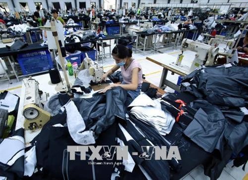 越南与印度从纺织服装行业的合作