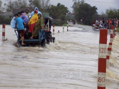 Kiên Giang đối phó với mưa bão và nước lên ở đầu nguồn sông Cửu Long