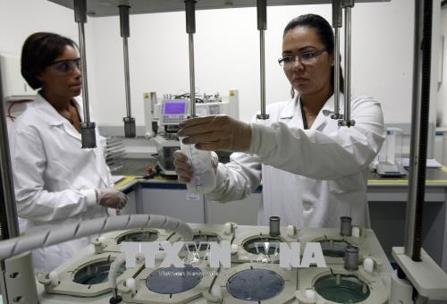 Brazil phát triển phân tử tổng hợp cho thuốc điều trị 