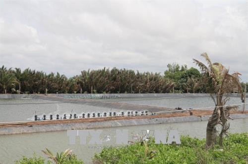 Đánh thức tiềm năng nuôi trồng thủy sản ven biển Gò Công