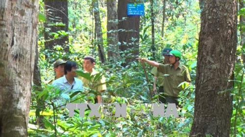 Các đơn vị cam kết trả nợ tiền dịch vụ môi trường rừng sớm nhất cho tỉnh Kon Tum