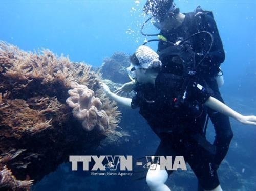 Quảng Ngãi: Du khách thích thú tour lặn ngắm kỳ quan cổng Tò Vò dưới nước