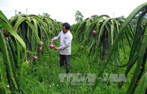 台湾企业与越南进行农业投资合作活动