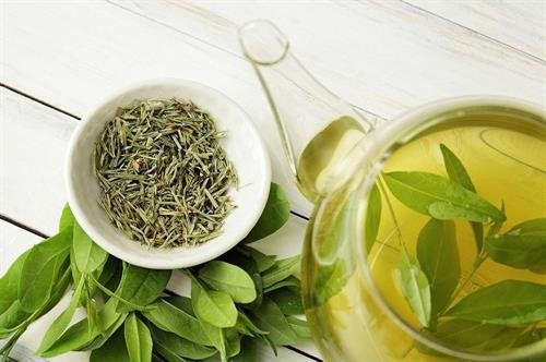 Tinh chất quý từ trà xanh hữu ích với bệnh nhân tiểu đường