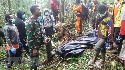 印尼一架小型飞机坠毁致8人死亡