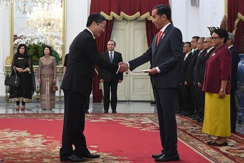印度尼西亚总统：希望同越南领导人深入讨论共同关注的双边和多边问题