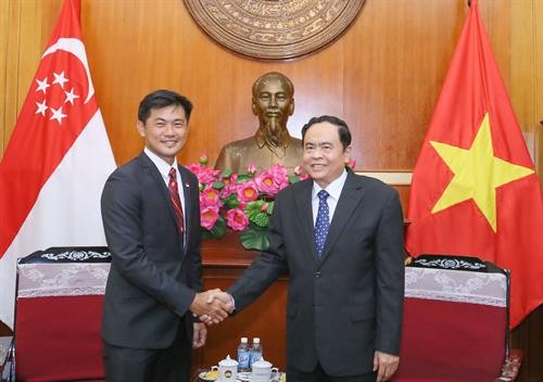 促进越南与新加坡关系发展