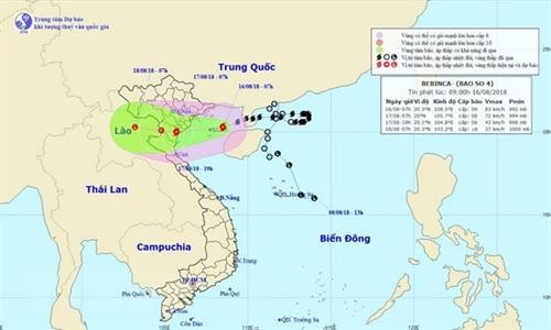 越南加强第四号台风应急防范工作检查力度