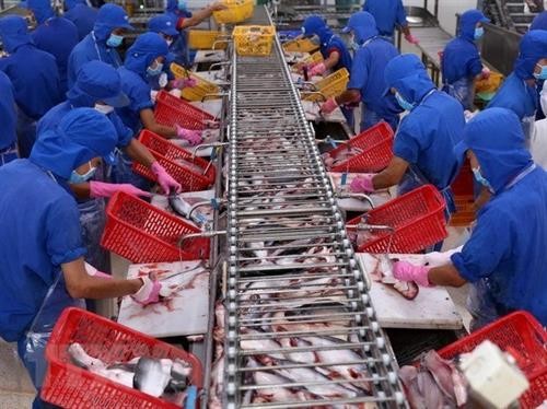 2018年前7个月越南查鱼出口达近12亿美元