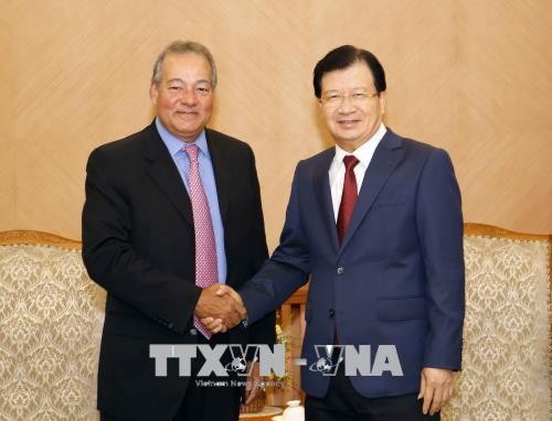 郑廷勇副总理：越南鼓励投资商参加电源发展项目