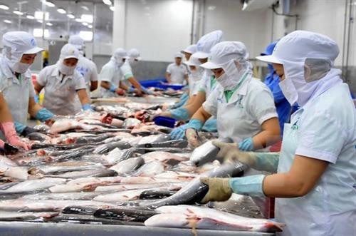 越南对美国和欧盟市场查鱼出口恢复增长态势