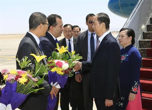 越南国家主席陈大光访问埃及：越南与埃及在各领域的合作潜力巨大