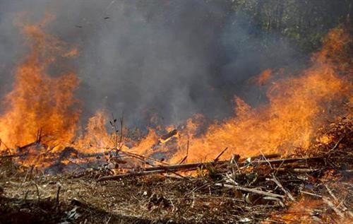 Khoảng 100 ha rừng phòng hộ xã Khánh Thượng bị cháy trong thời tiết khô hanh