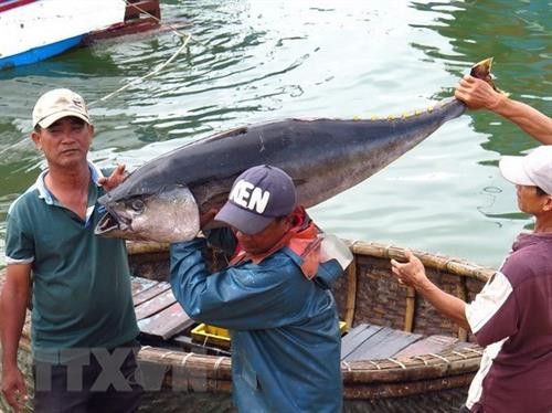 越南出台关于支持远洋捕捞业发展的题案