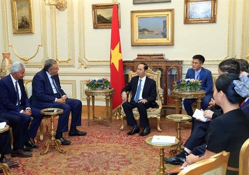 越南国家主席陈大光圆满结束对埃及的国事访问