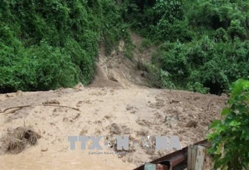 Thời tiết ngày 29/8: Mưa to đến rất to bao trùm Bắc Bộ và Thanh Hóa, Nghệ An, vùng núi đề phòng lũ quét, sạt lở đất