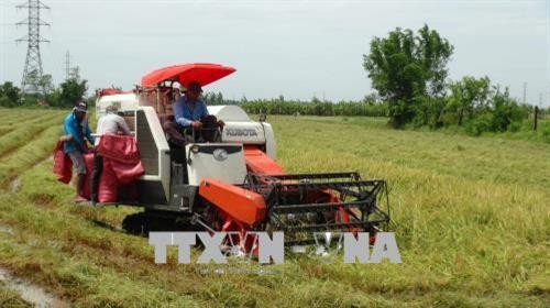 Trà Vinh phân định vùng sản xuất cho tái cơ cấu nông nghiệp