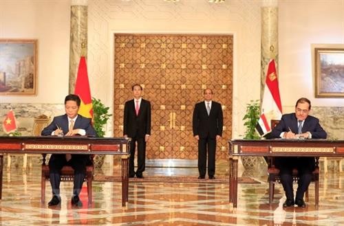 越南与埃及联合声明：巩固两国战略互信