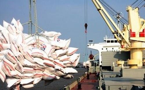 埃及将从越南进口100万吨大米