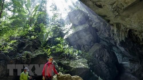 越南广平省在风雅-格邦区内发现44个新洞穴