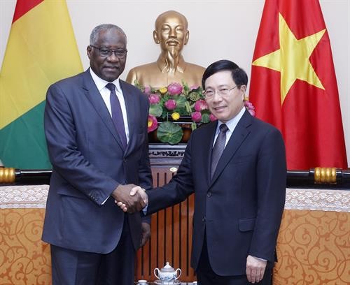 越南政府副总理兼外交部长范平明会见几内亚外交和海外侨民部长杜尔
