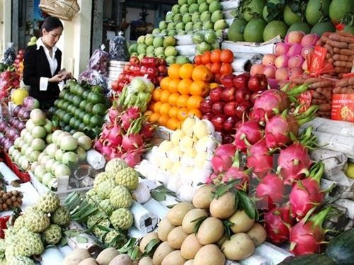 越南蔬果出口长迅速恢复“元气” 中国依旧是越南蔬果最大出口市场