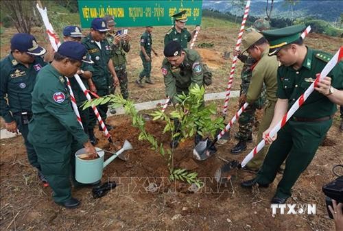Trồng vườn cây hữu nghị tại cột mốc ngã ba biên giới Việt Nam - Lào - Campuchia