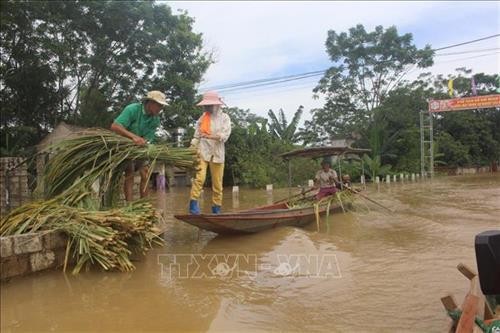 Thanh Hoá: Khẩn trương ổn định cuộc sống cho người dân vùng bị lũ lụt