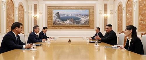  越南对9月19日举行的朝韩首脑会谈取得的成果表示欢迎