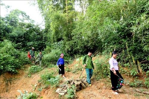 Hiệu quả từ mô hình thực hiện chi trả dịch vụ môi trường rừng ở Tân Uyên