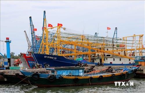 Quảng Trị hỗ trợ trên 25 tỷ đồng cho đội tàu cá khai thác xa bờ