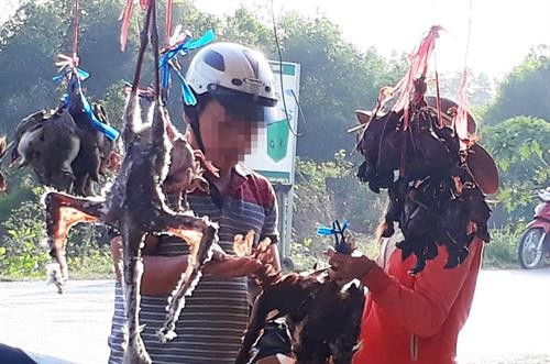Chấn chỉnh tình trạng buôn bán động vật hoang dã tại chợ nông sản Thạnh Hóa (Long An)