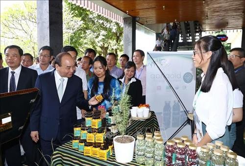Thủ tướng Nguyễn Xuân Phúc: Bảo hộ giá trị thương hiệu sâm Ngọc Linh như thương hiệu quốc gia Việt Nam