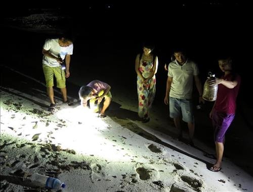 Trải nghiệm săn cua, còng đêm tại đảo Bé, Lý Sơn