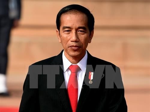印尼与越南经贸合作潜力持续释放