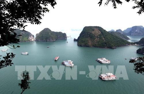 Việt Nam sẵn sàng đón tiếp và chủ trì Diễn đàn Du lịch ASEAN 2019 