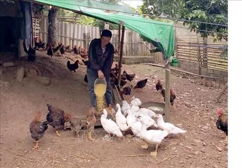Bắc Giang nhân rộng mô hình giúp nông dân thoát nghèo có địa chỉ cụ thể